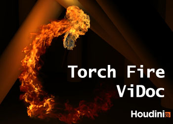 Torch Fire ViDoc